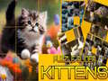 Spel Raaisels Katties Wat Gly aanlyn