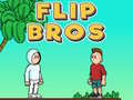 Spel Flip Broers aanlyn