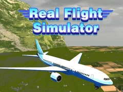 Spel Werklike Vliegsimulator aanlyn