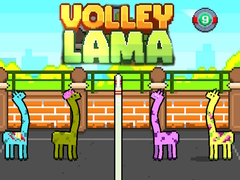 Spel Volley Lama aanlyn