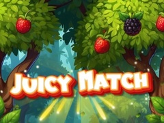 Spel Sappige Wedstryd aanlyn
