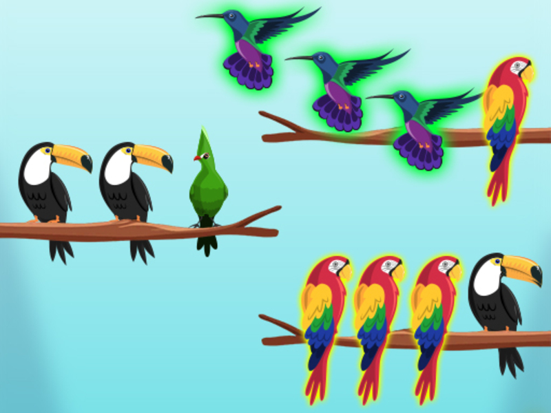 Spel Bird sorteer uitdagings aanlyn