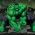 Hulk Hulk aanlyn