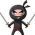 Ninja  aanlyn