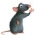 Ratatouille  aanlyn